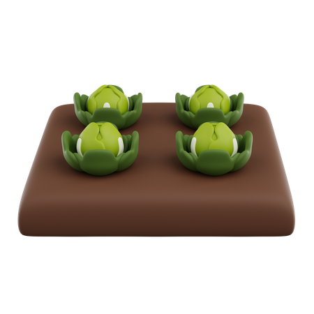 Cabbage Grow  3D Icon