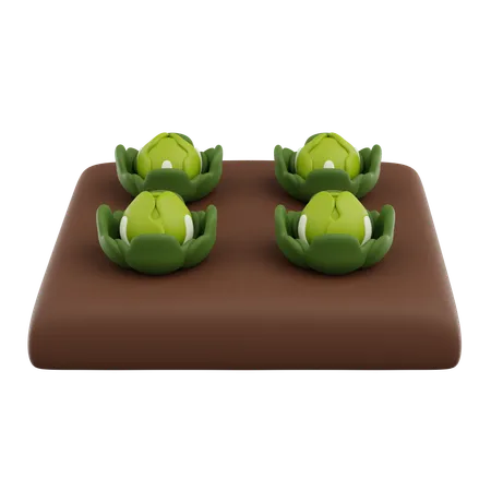 Cabbage Is Growing In The Ground 3 D Render Icon 3D Icon