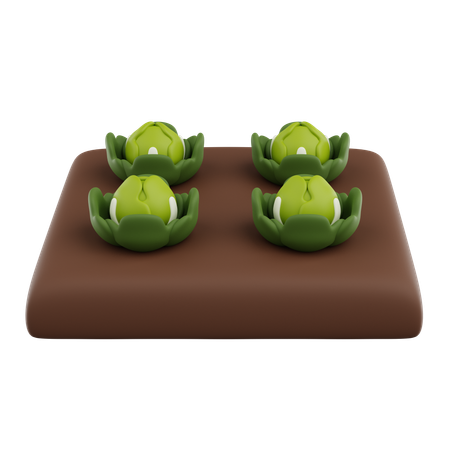 Cabbage Grow  3D Icon