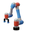 Cabots