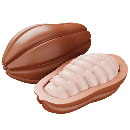 Cacao  3D Icon