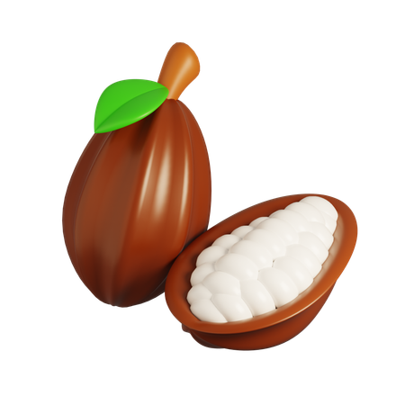 Cacao  3D Icon