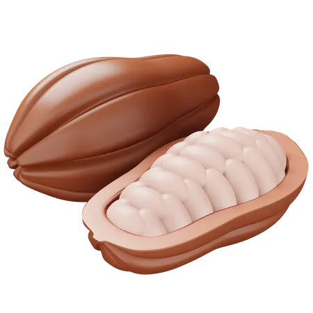 Cacao  3D Icon