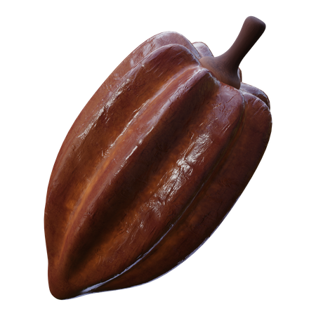Cacao  3D Icon