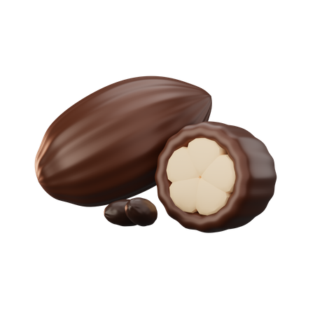 Fruit du cacao  3D Icon