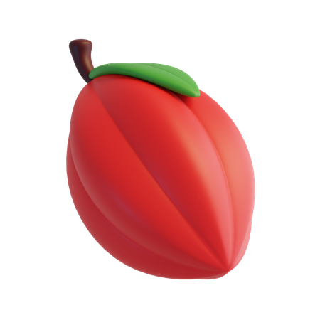 Fruta cacau  3D Icon