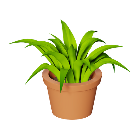 Pot  3D Illustration