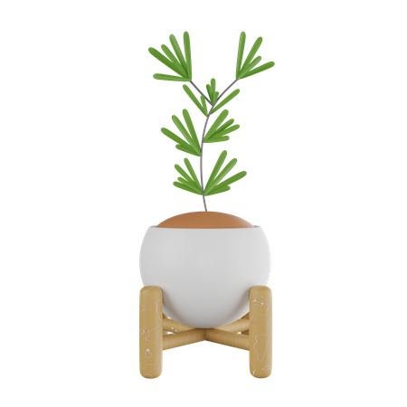 Pot  3D Icon