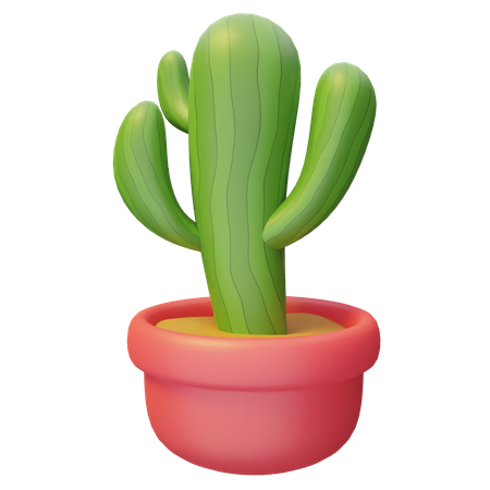 Cacti Plant  3D Illustration