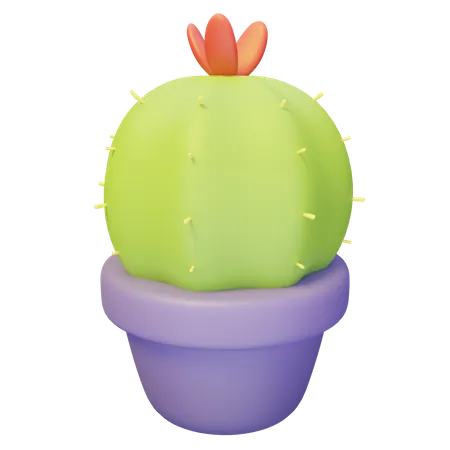 Cacti Plant  3D Illustration