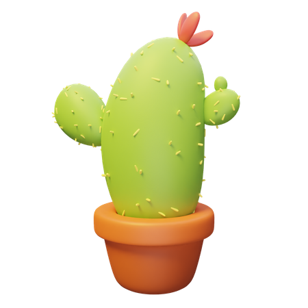 Cacti Plant 3D Illustration