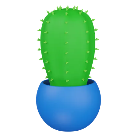 Cacto  3D Icon