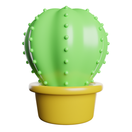 Cacto  3D Icon