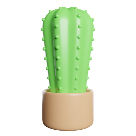 Cacto  3D Icon