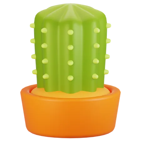 Cacto  3D Icon