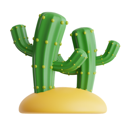 Cacto  3D Icon