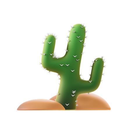 Cacto  3D Icon