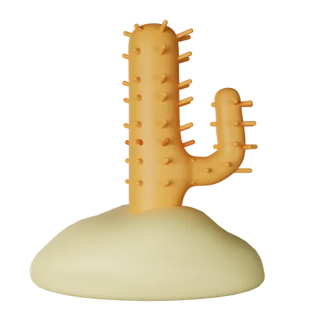 Cacto  3D Icon