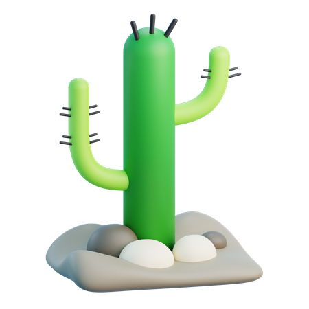 Cacto  3D Icon