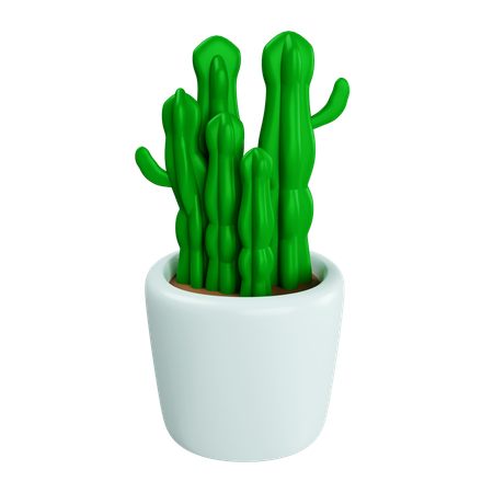 Cacto em um vaso de planta  3D Icon