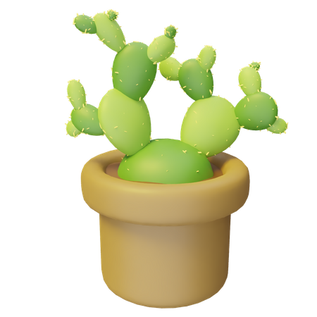 Planta de cacto  3D Illustration