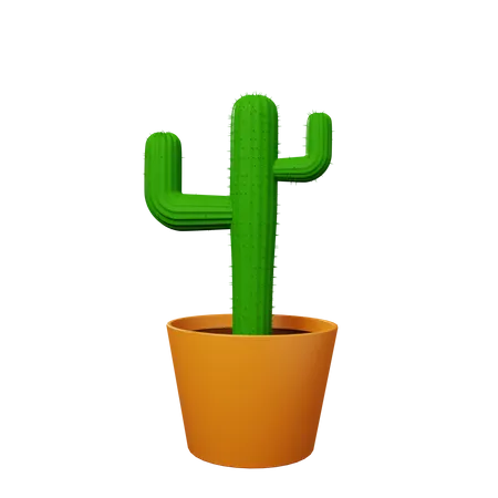 Planta de cacto  3D Illustration