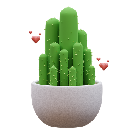 Planta de cacto  3D Icon