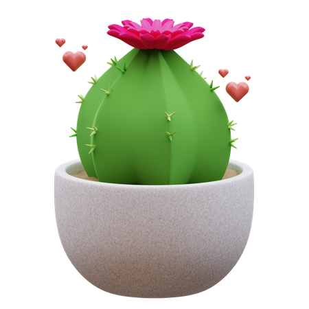 Planta de cacto  3D Icon