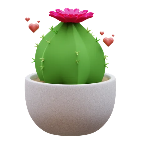 Planta de cacto  3D Icon