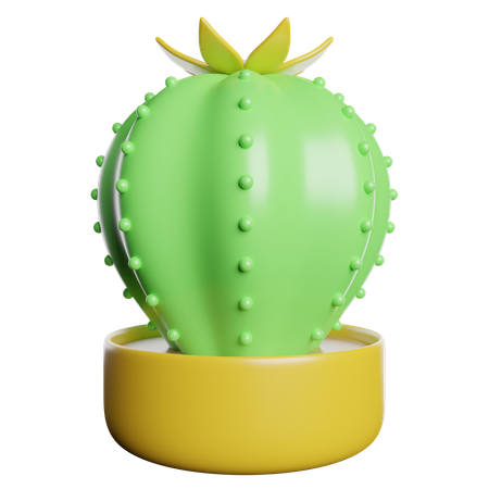 Cactus  3D Icon