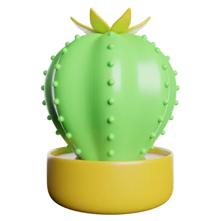 Cactus  3D Icon