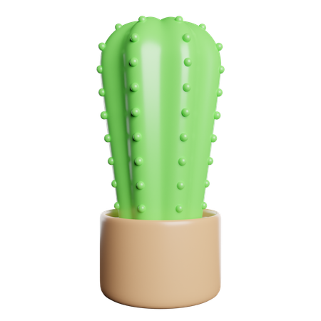 Cactus  3D Icon