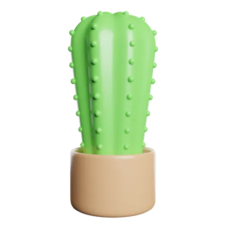 Cactus  3D Icon