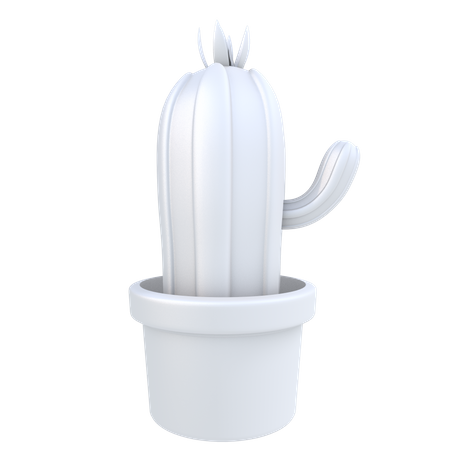 Cactus  3D Illustration