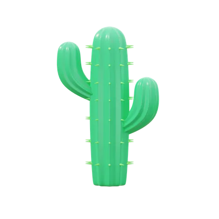 Cactus  3D Icon