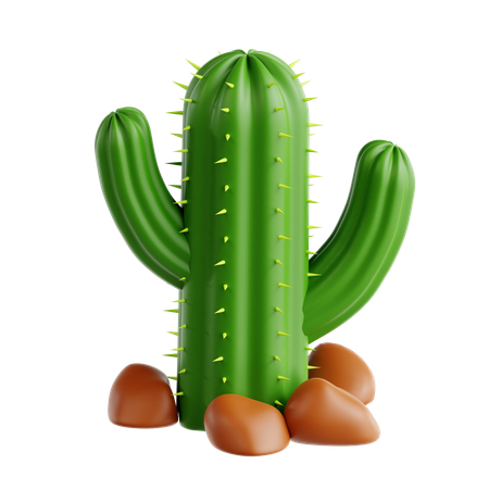 Cactus  3D Icon