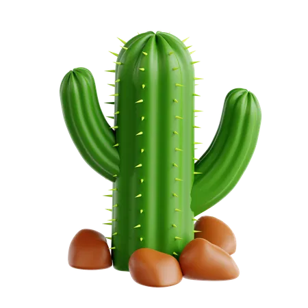 Cactus  3D Icon