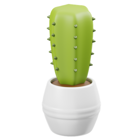 Cactus  3D Icon