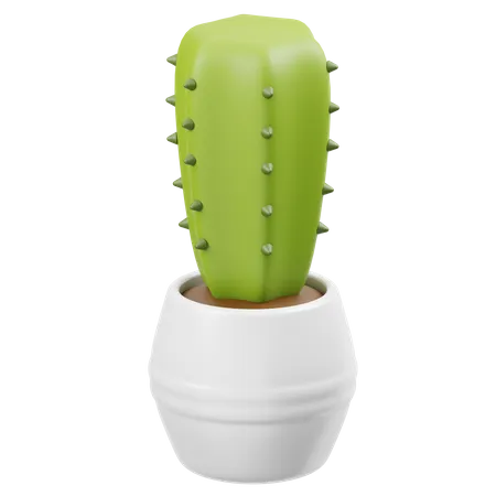 Cactus  3D Icon