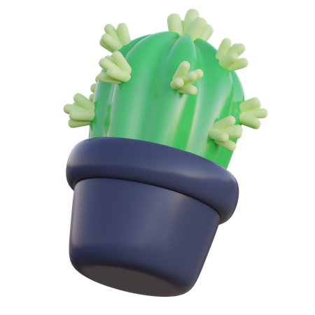 Cactus  3D Icon