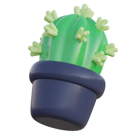 Cactus  3D Icon