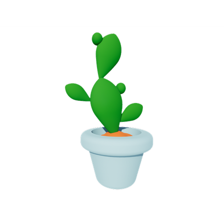 Cactus  3D Icon