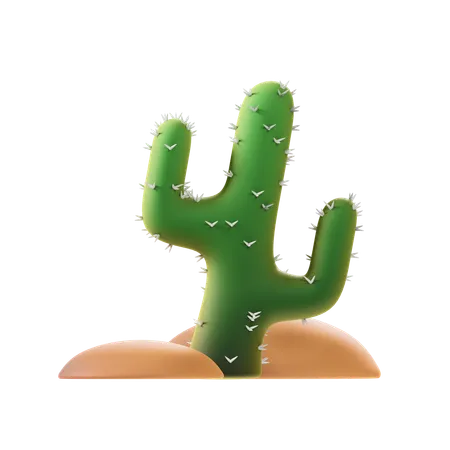 Cactus  3D Icon