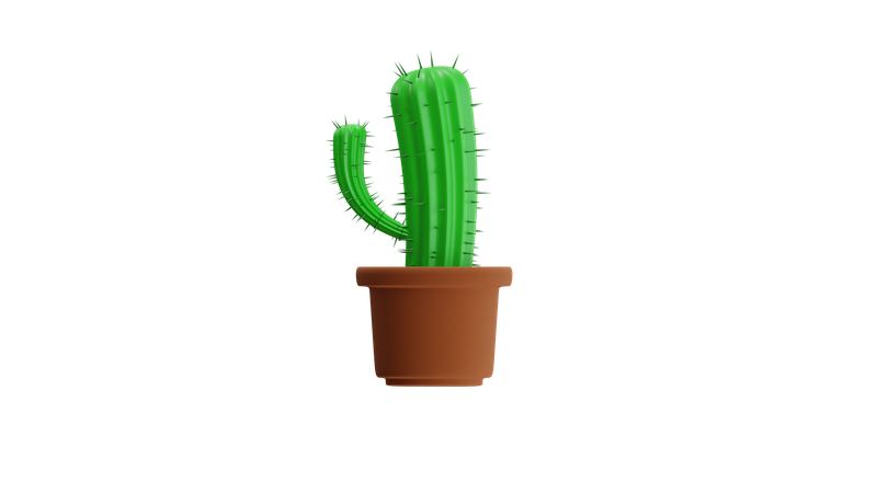 Cactus  3D Icon