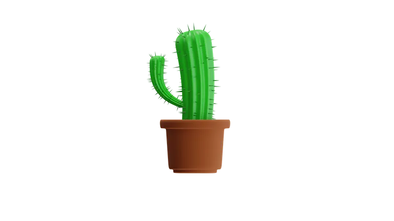 Cactus  3D Icon