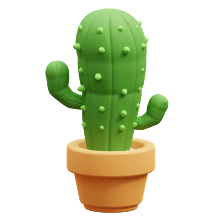 Cactus  3D Icon