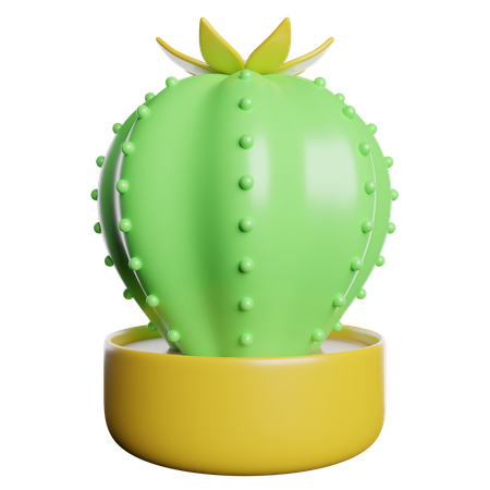 Cactus  3D Icon