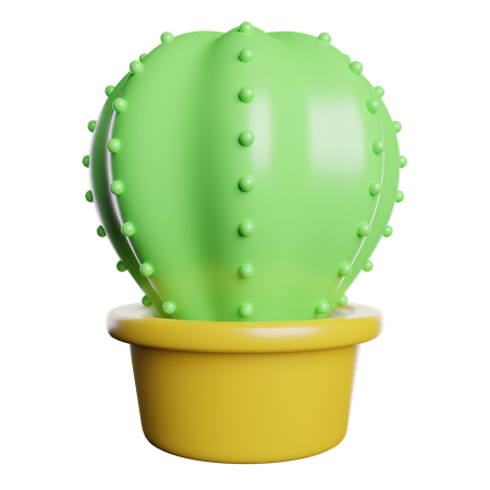 Cactus  3D Icon