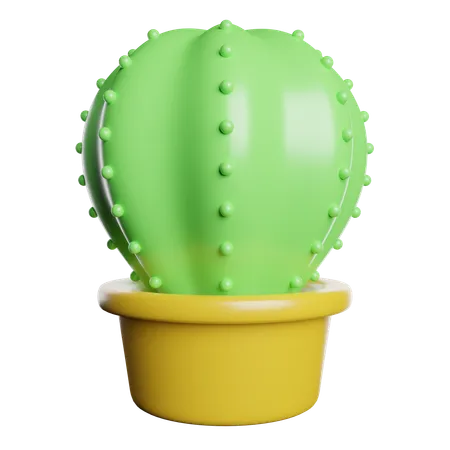 Cactus  3D Icon