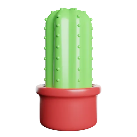 Cactus  3D Icon